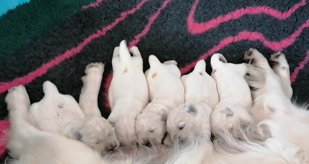 VID_20190826_142319